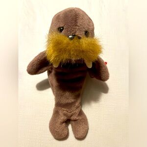 1996 TY Beanie Baby Jolly the Walrus #4082 Retired